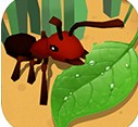 蚂蚁进化3d